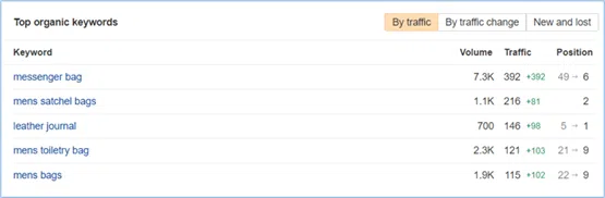 Case Study  Ecommerce SEO.png